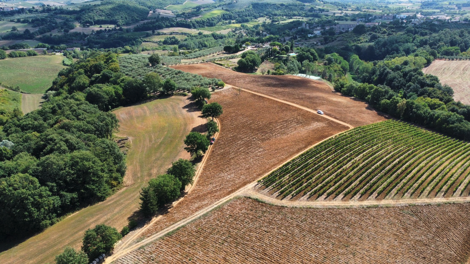 Winery fermentation process